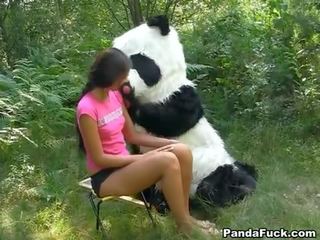 X номінальний відео в в woods з a величезний іграшка panda